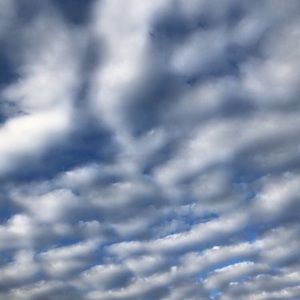 Meet your Posher, Delaney